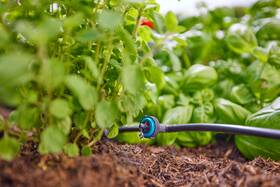 Zavlažovací systém Gardena MicroDrip System 13330-20 

 obrázek produktu 6 z 8
