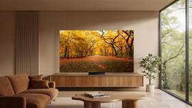 Televize TCL 55C8L 

 obrázek produktu 15 z 16