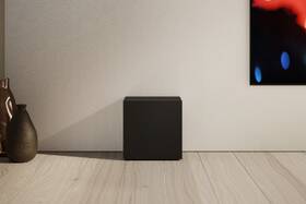 Subwoofer Sony SA-SW9 černý

 obrázek produktu 9 z 12