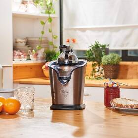 Lis na citrusy Black+Decker BXCJ100E černý/nerez

 obrázek produktu 6 z 10