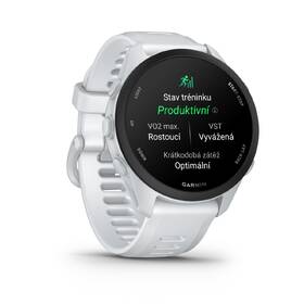 Chytré hodinky Garmin Forerunner 70 šedé

 obrázek produktu 9 z 12