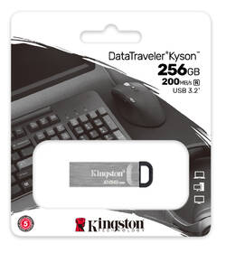 USB Flash Kingston DataTraveler Kyson 256GB stříbrná barva
