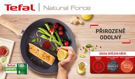 Pánev Tefal G2660572, 26 cm 

 obrázek produktu 11 z 11