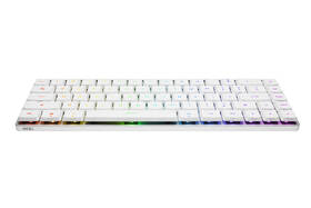 Klávesnice Asus FALCHION RX Low profile (ROG NX Snow) - CZ/SK bílá

 obrázek produktu 2 z 12