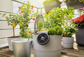 Zavlažovací systém Gardena AquaBloom 

 obrázek produktu 17 z 17