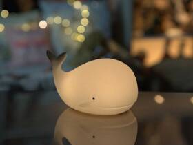 Dětská LED lampička Rabbit & Friends velryba s ovládáním bílá

 obrázek produktu 2 z 3