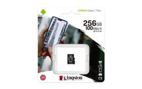 Paměťová karta Kingston MicroSDXC 256GB UHS-I U1 (100R/85W) 

 obrázek produktu 2 z 2
