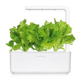 Semínka Click and Grow Hlávkový salát (3 ks) 

 obrázek produktu 3 z 3