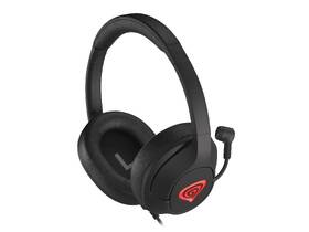 Headset Genesis RADON 800, 7.1 Virtual černá

 obrázek produktu 3 z 8