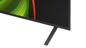 Televize LG OLED55B56LA 
