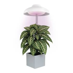 Lampa pro pěstování EMOS Deštník, 5 W, LED integrované, IP20 bílá

 obrázek produktu 2 z 7