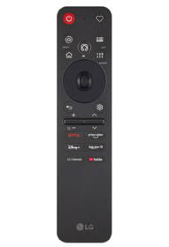 Televize LG 100MRGB96B6 

 obrázek produktu 7 z 10
