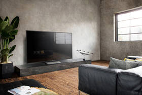 Televize Sony KD-65XD8505B černý

 obrázek produktu 1 z 21