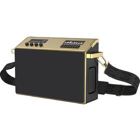 Přenosný reproduktor Mondo Speaker Large zlatý

 obrázek produktu 5 z 8