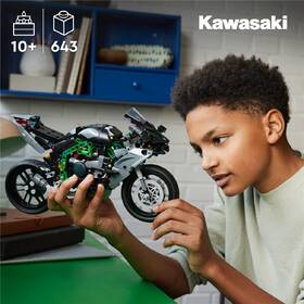 Stavebnice LEGO® Technic 42170 Motorka Kawasaki Ninja H2R 

 obrázek produktu 5 z 7
