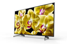 Televize Sony KD-55XG8096 

 obrázek produktu 3 z 8