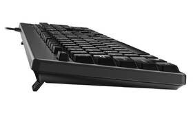 Klávesnice Genius KB-116, CZ+SK Layout černá

 obrázek produktu 2 z 2