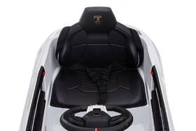 Elektrické autíčko MaDe Lamborghini 

 obrázek produktu 26 z 34