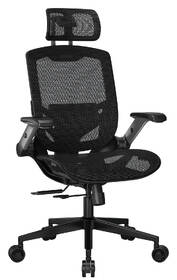 Herní židle Cougar Speeder One černá

 obrázek produktu 3 z 16