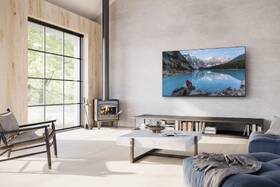 Televize Panasonic TX-55MX800E 
