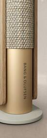 Reproduktor Bang & Olufsen Beosound Emerge zlaté

 obrázek produktu 5 z 10