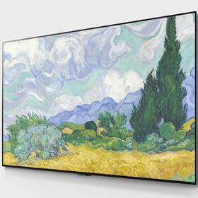 Televize LG OLED55G1 

 obrázek produktu 2 z 11