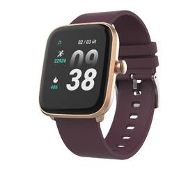 Chytré hodinky iGET FIT F20 zlaté

 obrázek produktu 1 z 5