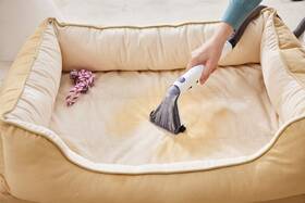 Tepovač koberců Tineco iCarpet Spot Cleaner černý/bílý

 obrázek produktu 14 z 18