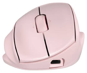 Myš HP Tilt Ergonomic Mouse 720M růžová

 obrázek produktu 1 z 5