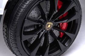 Elektrické autíčko MaDe Lamborghini 

 obrázek produktu 31 z 34