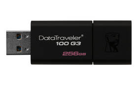 USB Flash Kingston 256GB černý

 obrázek produktu 3 z 5