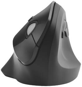 Myš KENSINGTON Pro Fit Ergo černá

 obrázek produktu 4 z 7