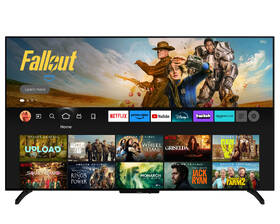 Televize Panasonic TV-55Z80BEZ 

 obrázek produktu 8 z 11