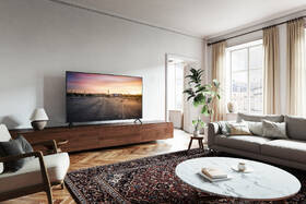 Televize Panasonic TV-55W90AEG 
