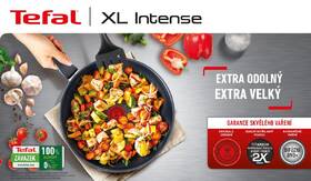 Pánev Tefal C3840453, 24 cm 

 obrázek produktu 3 z 10