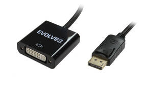 Redukce Evolveo DisplayPort/DVI černá

 obrázek produktu 1 z 2