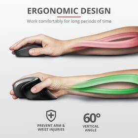 Myš Trust vertikální Verro Ergonomic černá

 obrázek produktu 9 z 15