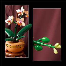 Stavebnice LEGO® Botanicals 10343 Miniaturní orchidej 

 obrázek produktu 2 z 9