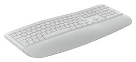 Klávesnice s myší Logitech Signature Comfort Plus MK880, US layout bílá

 obrázek produktu 4 z 23