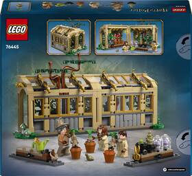 Stavebnice LEGO® Harry Potter™ 76445 Bradavický hrad: Hodina bylinkářství 

 obrázek produktu 4 z 7
