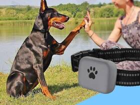 GPS lokátor Carneo DogSAFE+ černá barva

