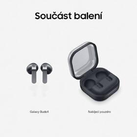 Dotykový tablet Samsung Galaxy Tab S10 Lite 6 GB / 128 GB Balíček šedý

 obrázek produktu 6 z 14