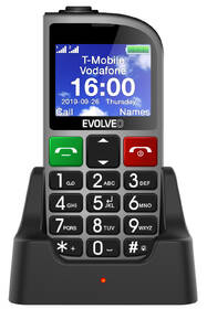 Mobilní telefon Evolveo EasyPhone FM stříbrný

 obrázek produktu 2 z 6