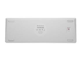 Klávesnice Genesis THOR 660 G2, RGB, Bluetooth, Gateron Red, US layout bílá

 obrázek produktu 5 z 6