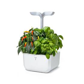 Chytrý květináč Véritable Exky SMART bílý

 obrázek produktu 1 z 11