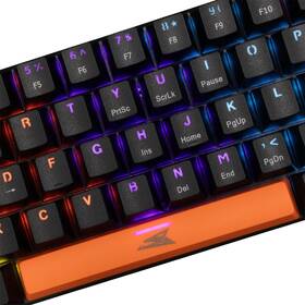 Klávesnice Baracuda DOLPHIN, Blue switch, US layout černá

 obrázek produktu 2 z 7