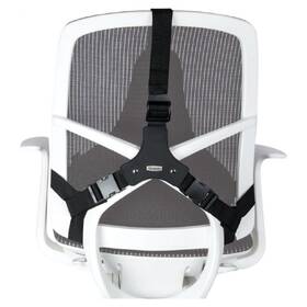 Zádová opěrka Fellowes na židli Profesional 
