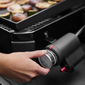 Gril zahradní plynový Weber SLATE GP Premium 43 cm černý

 obrázek produktu 9 z 10