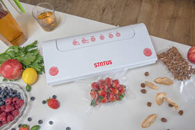 Sada pro vakuování Status HV100 199172, 11 dílů 

 obrázek produktu 12 z 19