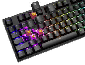 Klávesnice Genesis THOR 404 RGB, Outemu Peach Silent, US layout černá

 obrázek produktu 8 z 9